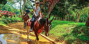A horseback excursion in one of the most beautiful nature rich domains of Mauritius.